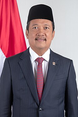 Ir. Sakti Wahyu Trenggono, MM.